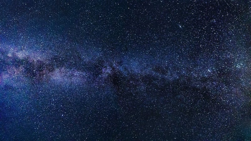 Starlit Gardens