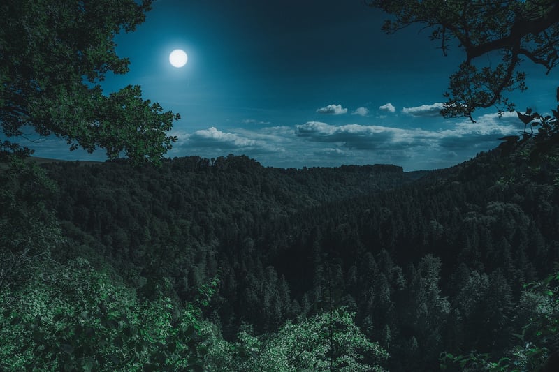 Moon Dress